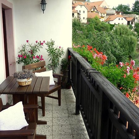 Pension Plesivecka 119 Český Krumlov المظهر الخارجي الصورة