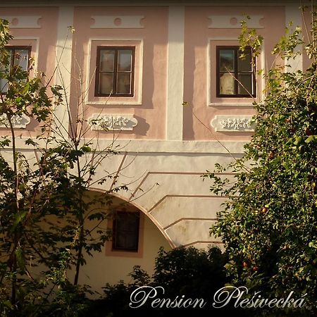 Pension Plesivecka 119 Český Krumlov المظهر الخارجي الصورة