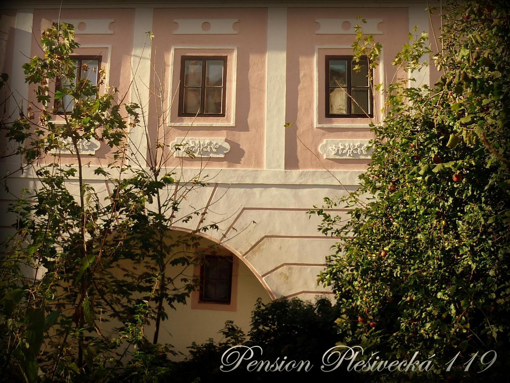 Pension Plesivecka 119 Český Krumlov المظهر الخارجي الصورة