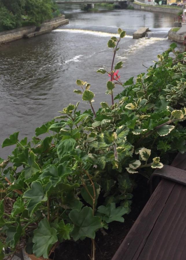 Pension Plesivecka 119 Český Krumlov المظهر الخارجي الصورة
